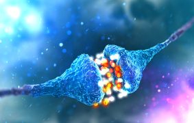 Synaptic transmission. Structure of a typical chemical synapse. 3D illustration