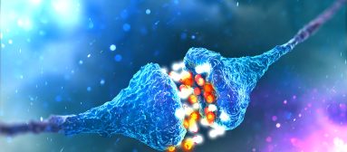 Synaptic transmission. Structure of a typical chemical synapse. 3D illustration