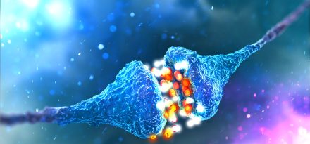 Synaptic transmission. Structure of a typical chemical synapse. 3D illustration