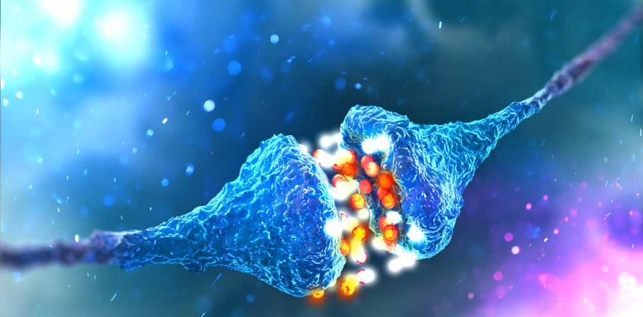 Synaptic transmission. Structure of a typical chemical synapse. 3D illustration